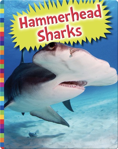 Hammerhead Sharks