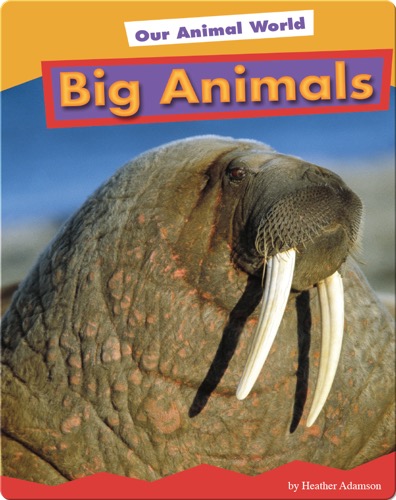 Big Animals