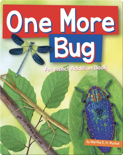 One More Bug: An Insect Addition Book