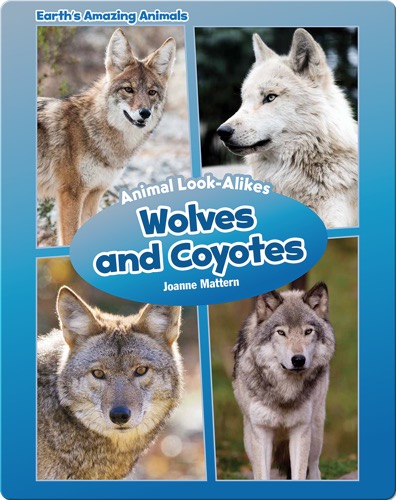 Wolves and Coyotes