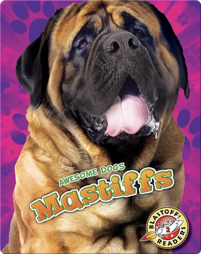 Mastiffs