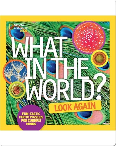 What in the World: Look Again