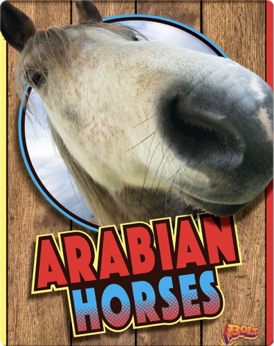 Arabian Horses