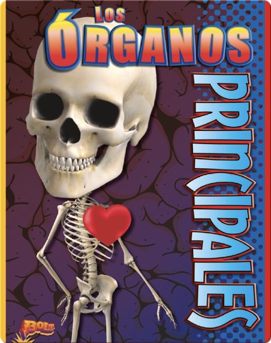 Los Órganos Principales