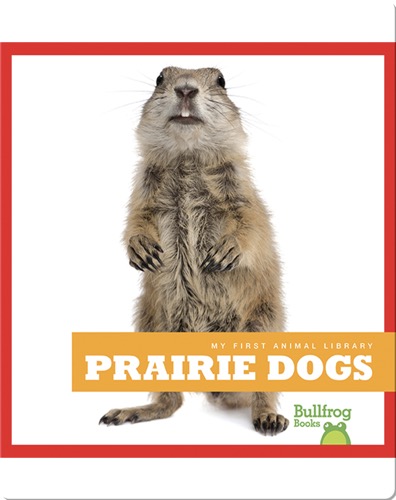 Prairie Dogs