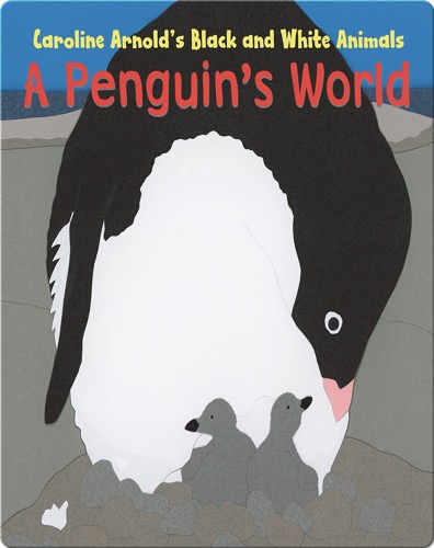 A Penguin's World