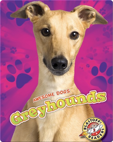 Greyhounds