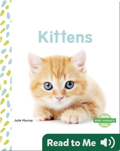 Kittens