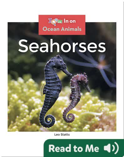 Seahorses