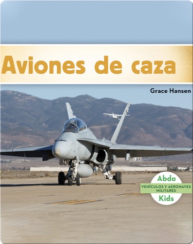 Aviones de caza