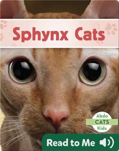 Sphynx Cats