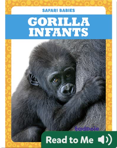Gorilla Infants