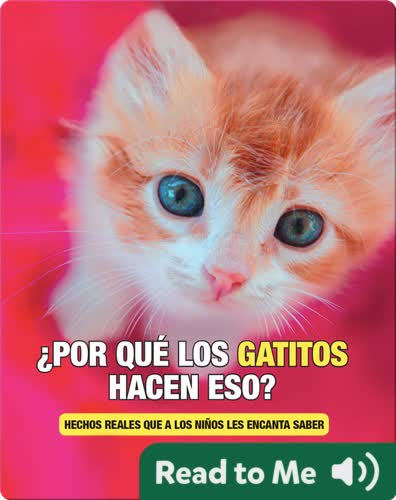 ¿Por Que los Gatitos Hacen Eso?