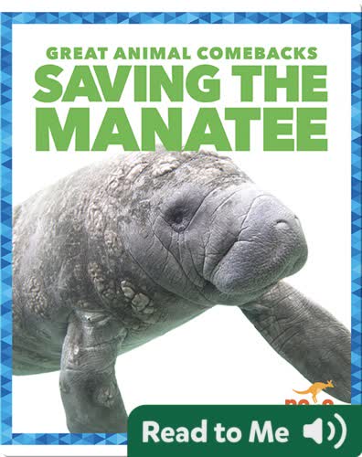 Saving the Manatee
