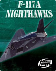 F-117A Nighthawks