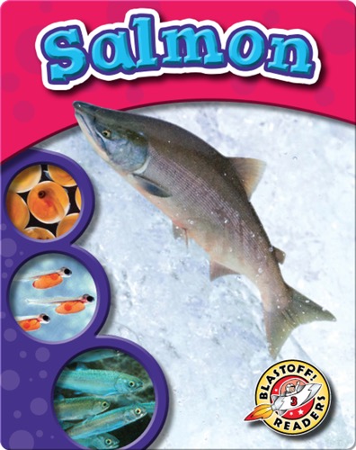 The Life Cycle of a Salmon