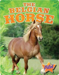 The Belgian Horse