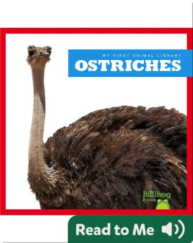 My First Animal Library: Ostriches