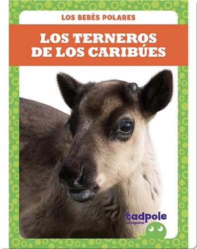 Los terneros de los caribúes