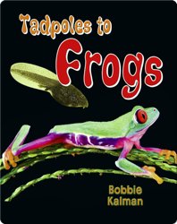 Tadpoles to Frogs