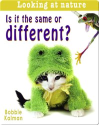 Is it the same or Different?