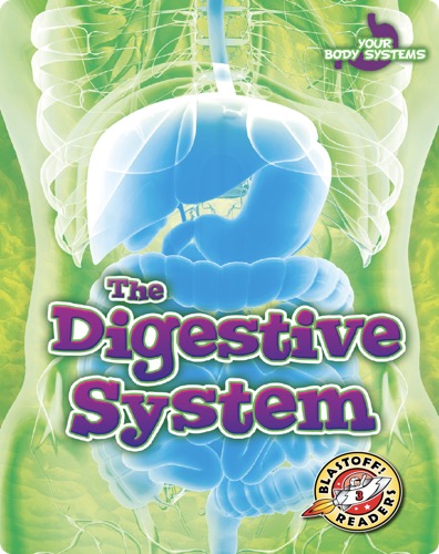 The Digestive System