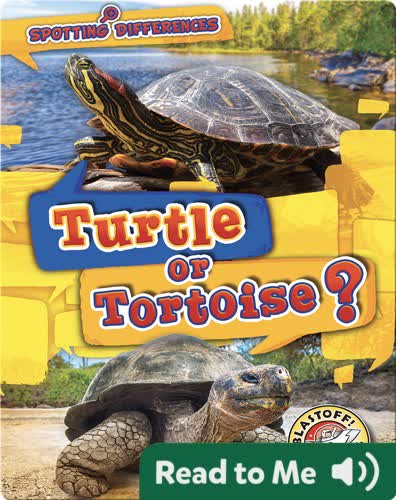 Turtle or Tortoise?