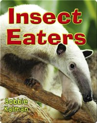 Insect Eaters