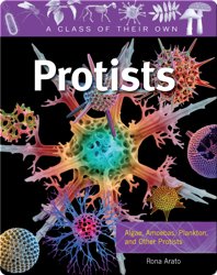 Protists