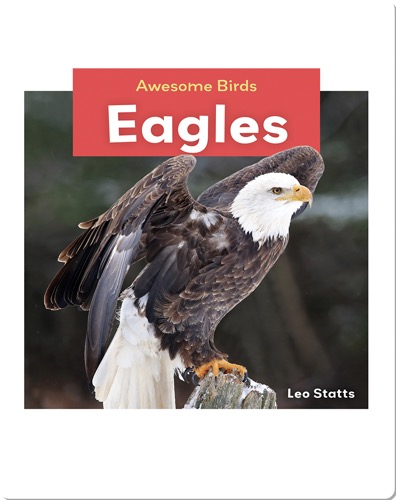 Eagles