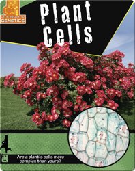 Plant Cells