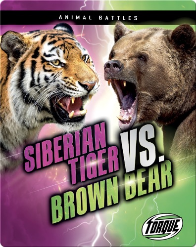 Animal Battles: Siberian Tiger vs. Brown Bear