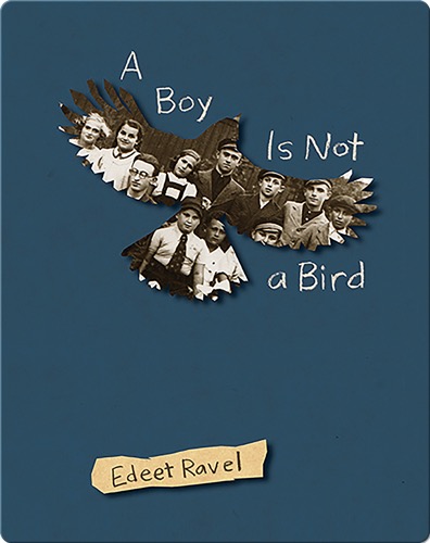 A Boy Is Not a Bird