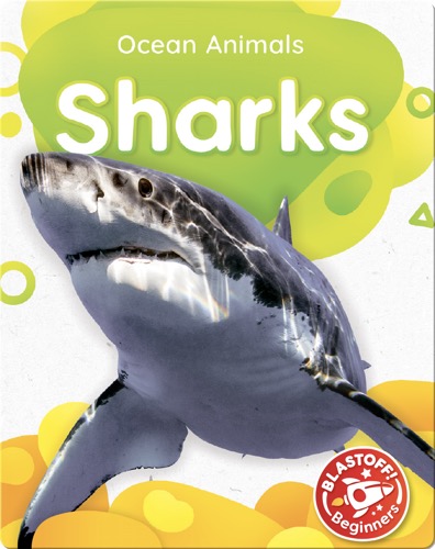 Ocean Animals: Sharks