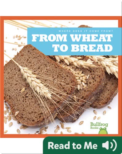 Where Does It Come From?: From Wheat to Bread