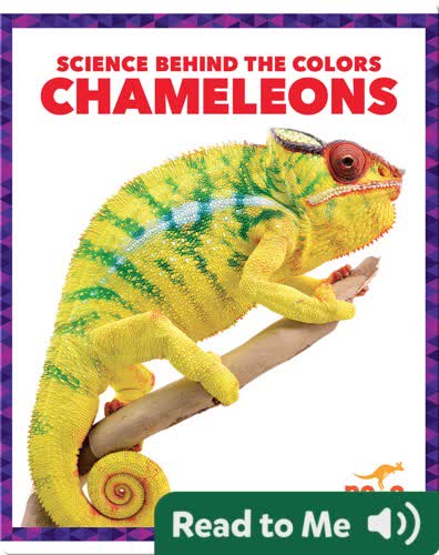 Science Behind the Colors: Chameleons