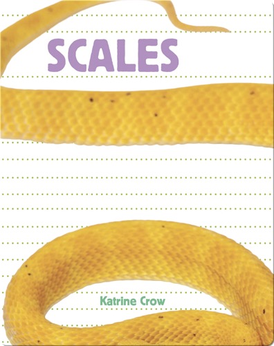 Whose Is It?: Scales