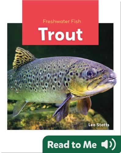 Freshwater Fish: Trout