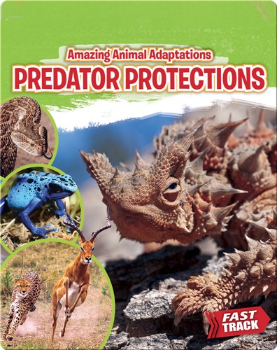 Amazing Animal Adaptations: Predator Protections