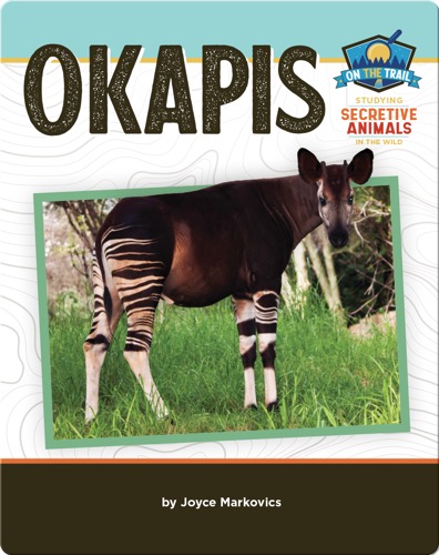 Study of Secretive Animals: Okapis
