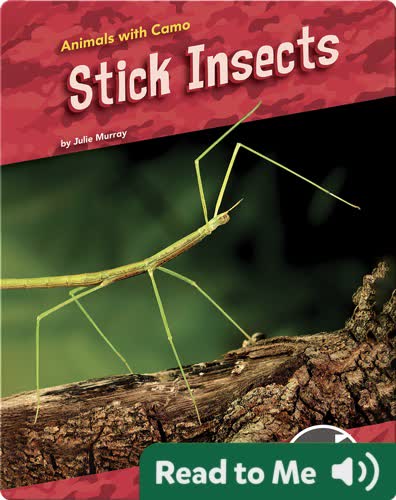 Animals With Camo: Stick Insects