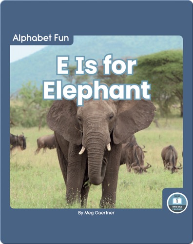 Alphabet Fun: E is for Elephant