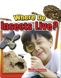 Where Do Insects Live?
