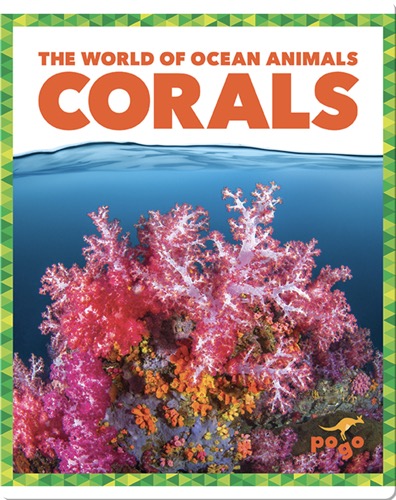 The World of Ocean Animals: Corals