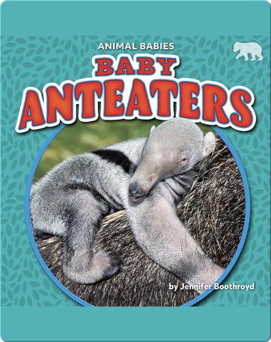 Animal Babies: Baby Anteaters
