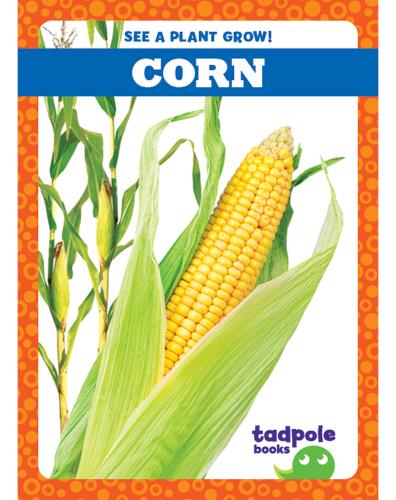 See a Plant Grow!: Corn