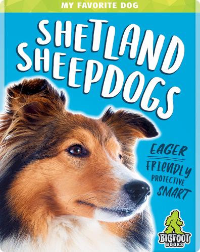 My Favorite Dog: Shetland Sheepdogs