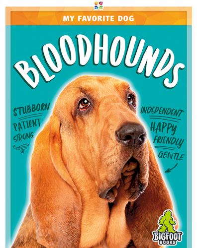 My Favorite Dog: Bloodhounds