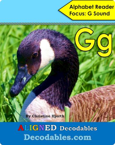 Gg Book