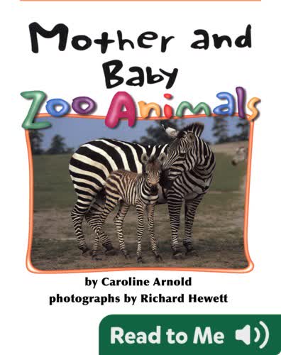 Mother and Baby Zoo Animals